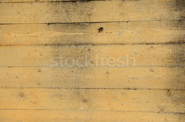 cement wall Stock photo © Sarkao