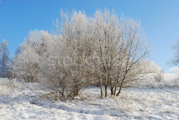 Stock photo: Czech landscape in winter