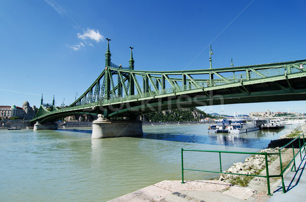 Szabadság hid - Liberty bridge in Budapest, Hungary Stock photo © Sarkao