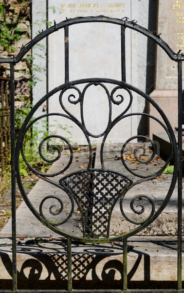 Stock photo: vintage metal decoration