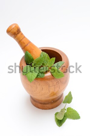 wooden mortar with melissa leaves Stock photo © Sarkao
