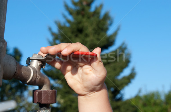 baby hand on water tap Stock photo © Sarkao