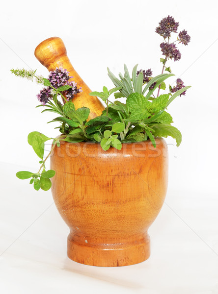 mortar and herbs Stock photo © Sarkao