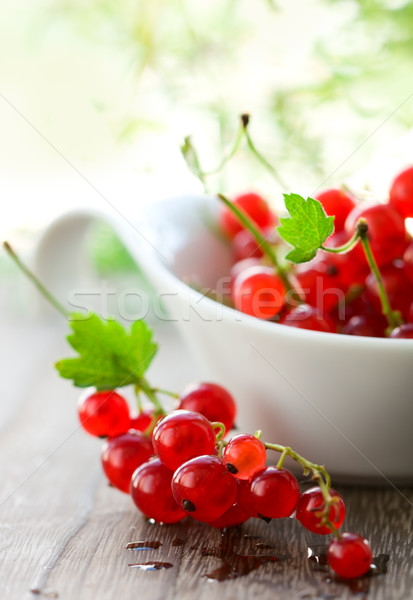 Piros ribiszke friss gyümölcs levelek szín Stock fotó © sarsmis