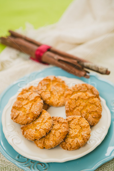 Oatmeal Cookies with Warm Fall Colors Stock photo © sarymsakov
