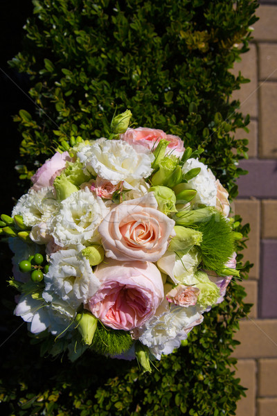 Schönen frischen farbenreich Bouquet Stock foto © sarymsakov