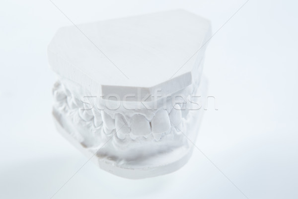 Gypsum model of human jaw on a white background. Stock photo © sarymsakov