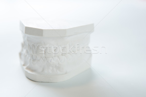 Gypsum model of human jaw on a white background. Stock photo © sarymsakov