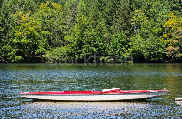 Sunfish boat on a lake Stock photo © sbonk