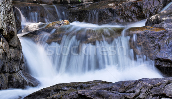 Wenig Wasserfall Stream fließend nach unten Felsen Stock foto © sbonk
