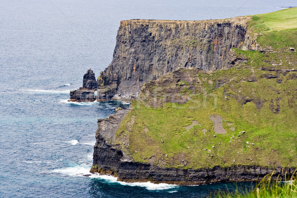 Shoreline and Cliffs Stock photo © sbonk