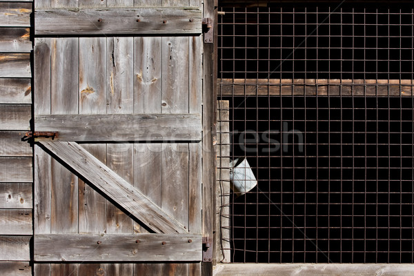 Barn and Bucket Stock photo © sbonk