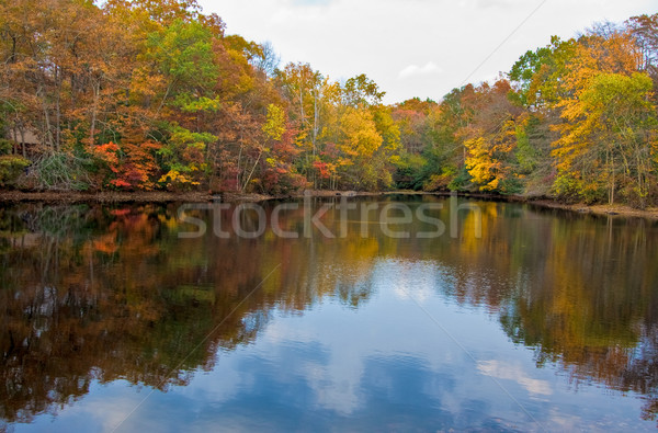 See Bäume Herbst farbenreich fallen Stock foto © sbonk