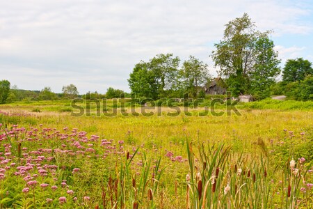 Alten Scheune Landschaft Holz Bäume Land Stock foto © sbonk