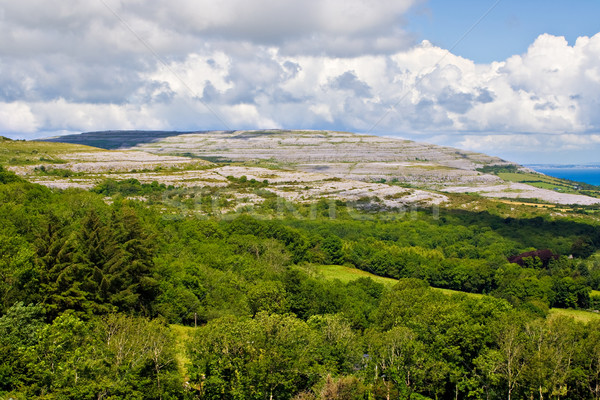 Ireland Landscape of The Burren Stock photo © sbonk