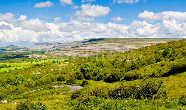 Ireland Landscape Stock photo © sbonk