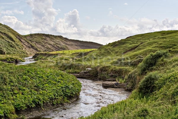 Stream in Ireland Stock photo © sbonk