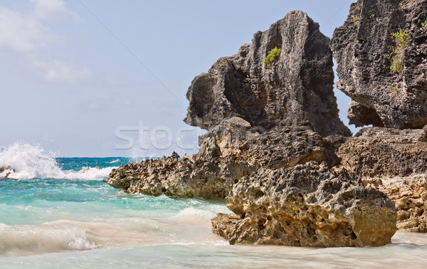 Ozean groß Felsen Foto Hufeisen Stock foto © sbonk