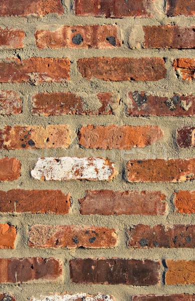 Brick Wall - Portrait Background Stock photo © sbonk