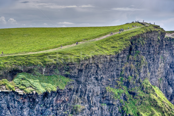 Cliffs of Moher Stock photo © sbonk
