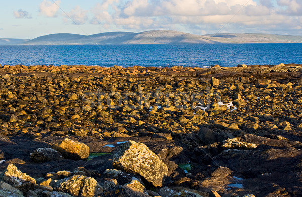 Galway Bay and Burren Stock photo © sbonk
