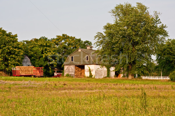 Barn and Hay Stock photo © sbonk