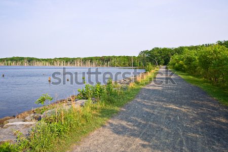 Foto stock: Lago · camino · de · grava · depósito · frontera · cielo · árbol