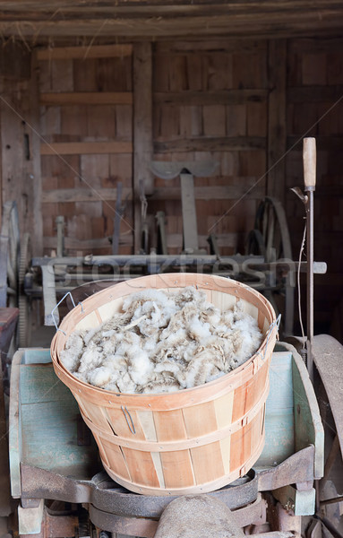 Legen Wolle Schafe schmierig Schmierfett Lamm Stock foto © sbonk