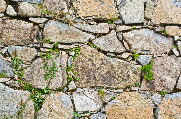 Steinmauer Detail Textur Wand abstrakten Stock foto © sbonk