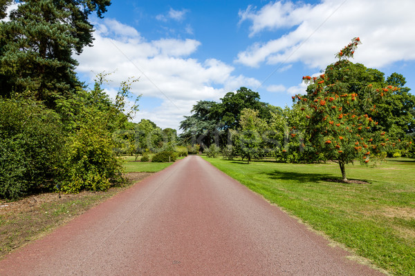 Path leading through Beautiful Summer Garden Stock photo © scheriton