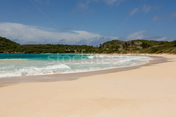 Golden Sandy Beach at Half Moon Bay Antigua Stock photo © scheriton
