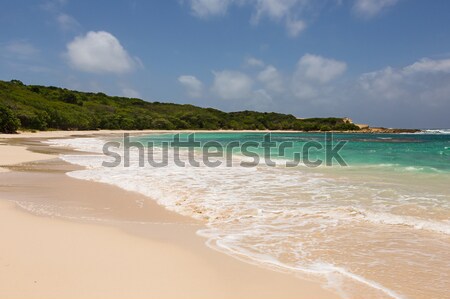 Beautiful Golden Sandy Beach at Half Moon Bay Antigua Stock photo © scheriton