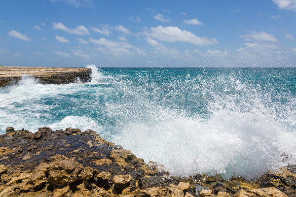 Waves Crashing on Rocks at Devil's Bridge Antigua Stock photo © scheriton