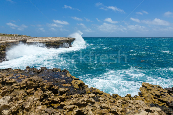 Rocky Coastline near Devil's Bridge Antigua Stock photo © scheriton