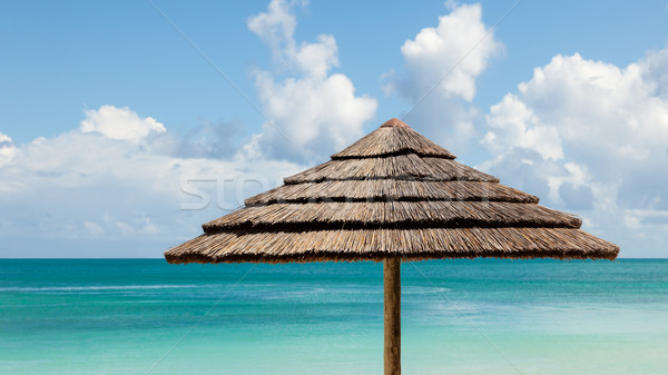 Tropical Seascape of Beach Umbrella and Sky with Clouds Stock photo © scheriton