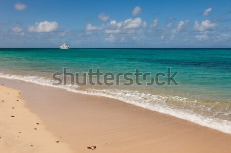 Tropical Beach Seascape with Motor Yacht Stock photo © scheriton