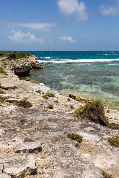 Rustic Tropical Beach Coastline Antigua Stock photo © scheriton