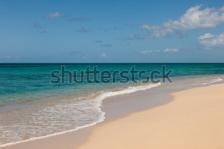 Beautiful Sandy Tropical Beach and Sunny Ocean Seascape Stock photo © scheriton