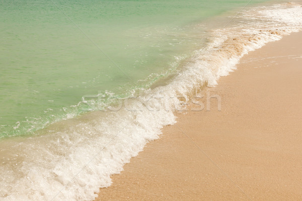 Ocean Wave on Beautiful Sandy Caribbean Beach Stock photo © scheriton