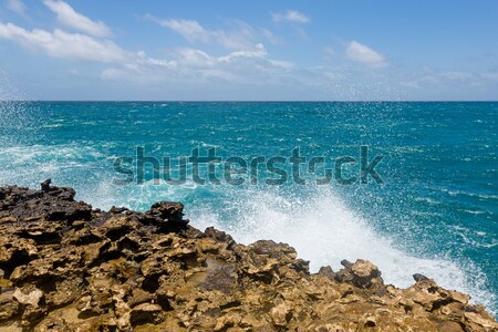 Waves Crashing on Rocky Coastline Devil's Bridge Stock photo © scheriton