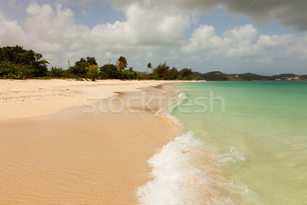 Sunny Tropical Caribbean Beach with Blue Cloudy Sky  Stock photo © scheriton