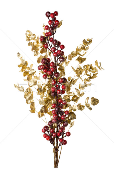 Sparkly Red Berries on Golden Leaves Isolated Background Stock photo © scheriton