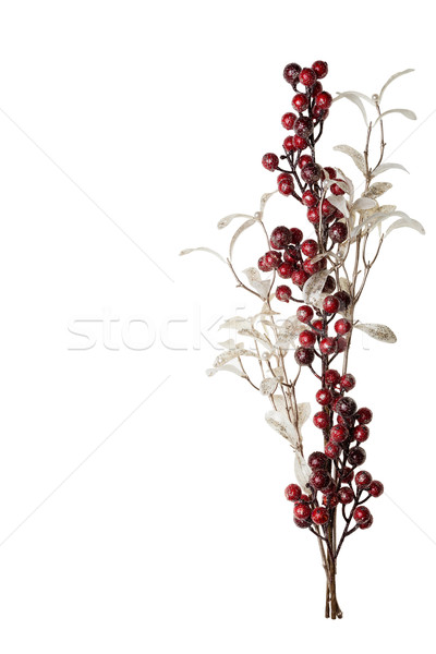 Sparkly Red Berries and Silver Glitter Pearl Leaves Background Stock photo © scheriton