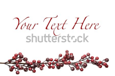 Sparkly Red and Silver Berries on Branch Background Stock photo © scheriton