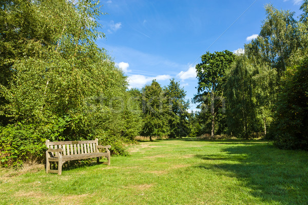 Stock photo: Park Bench in Beautiful Lush Green Garden