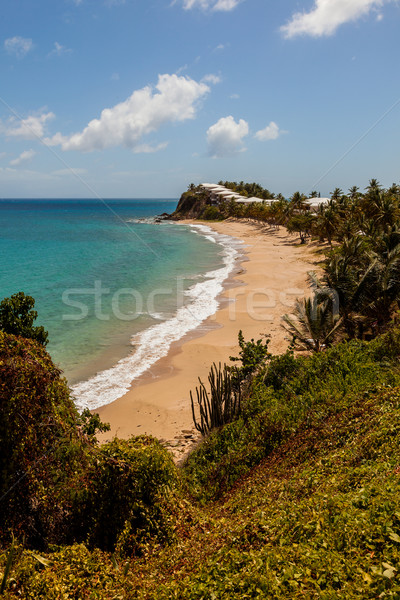 Sunny Tropical Caribbean Beach Landscape Stock photo © scheriton