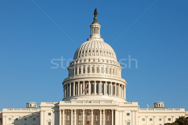 U.S. Capitol Dome Rear Face on Sunny Winter Day Blue Sky Stock photo © scheriton
