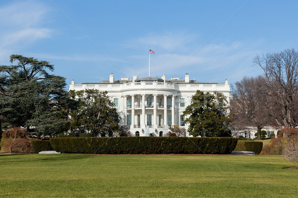 Fehér ház Washington DC napos tél nap kék ég Stock fotó © scheriton