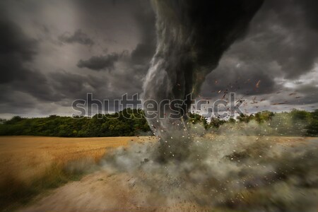 Tornade catastrophe vue ciel nature Photo stock © sdecoret