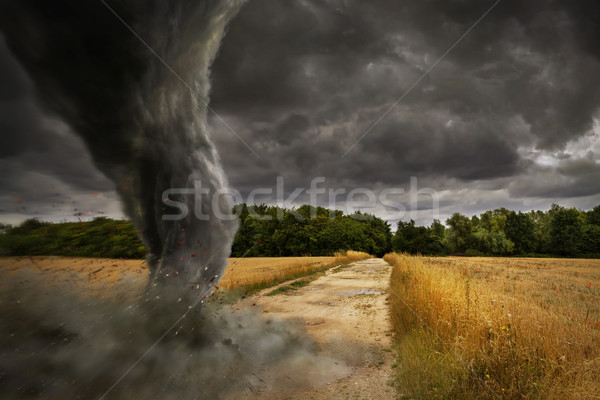 商業照片: 龍捲風 · 災難 · 視圖 · 天空 · 性質
